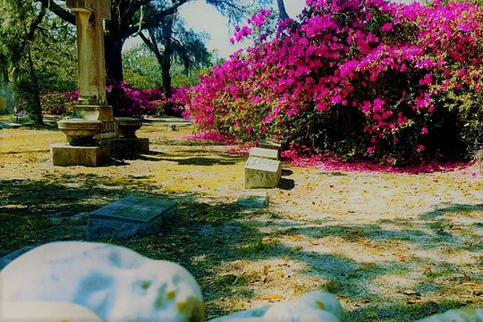 Tour image 10