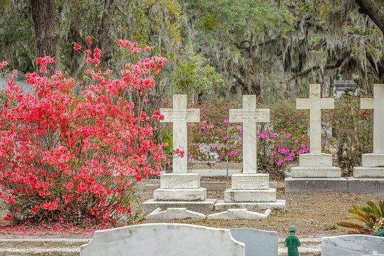 Tour image 6