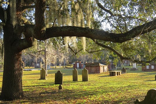 Tour image 12