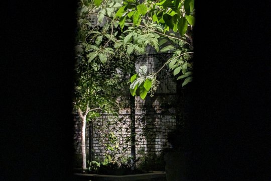 Tour image 5